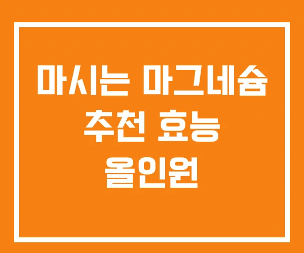 마시는 마그네슘 추천 효능 올인원