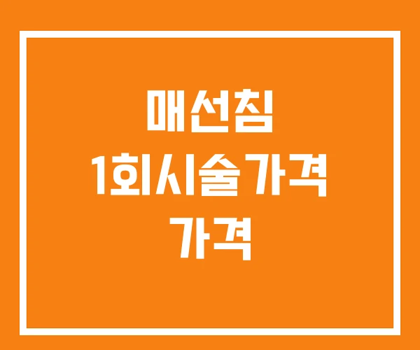 매선침 1회시술가격 가격