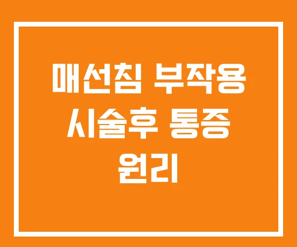 매선침 부작용 시술후 통증 원리 매선침 부작용 시술후 통증 원리