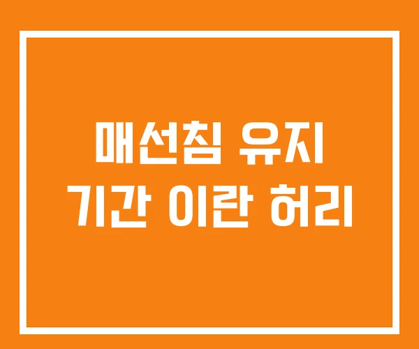 매선침 유지 기간 이란 허리