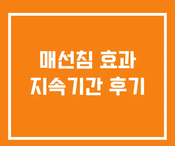 매선침 효과 지속기간 후기