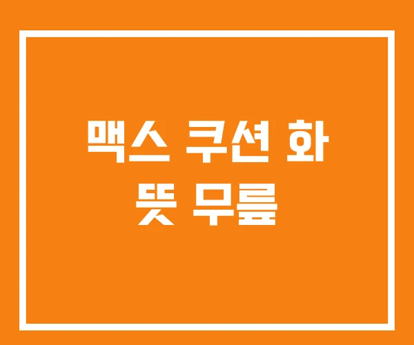 맥스 쿠션 화 뜻 무릎