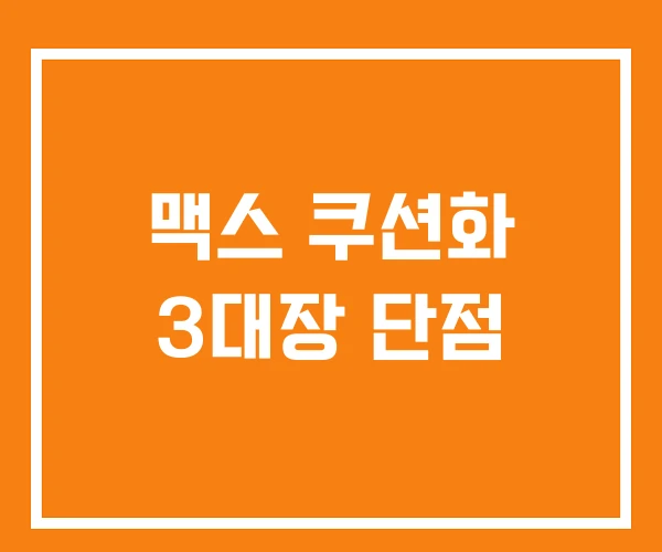 맥스 쿠션화 3대장 단점 맥스 쿠션화 3대장 단점