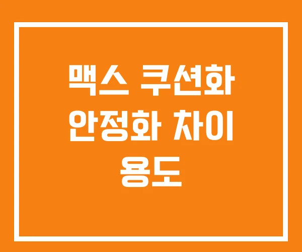 맥스 쿠션화 안정화 차이 용도