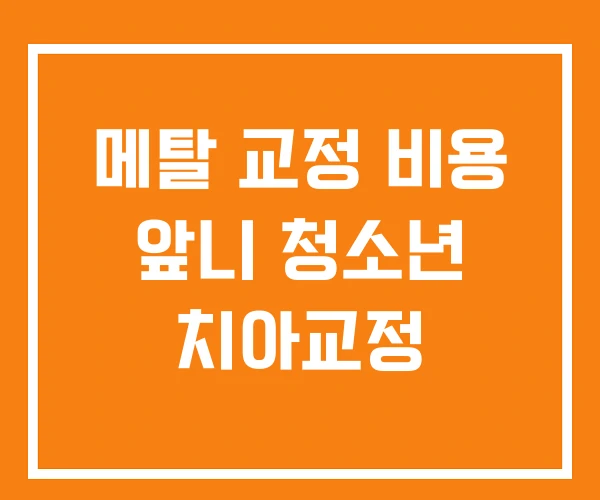 메탈 교정 비용 앞니 청소년 치아교정