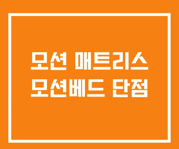 모션 매트리스 모션베드 단점