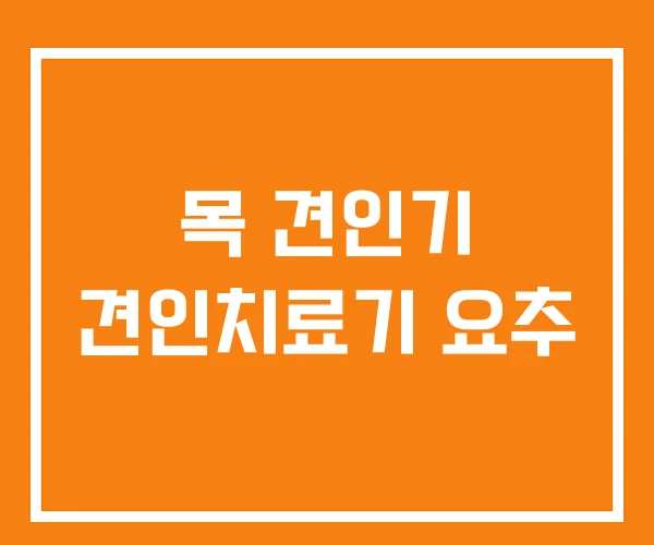 목 견인기 견인치료기 요추