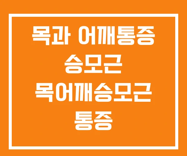 목과 어깨통증 승모근 목어깨승모근 통증