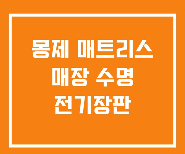 몽제 매트리스 매장 수명 전기장판