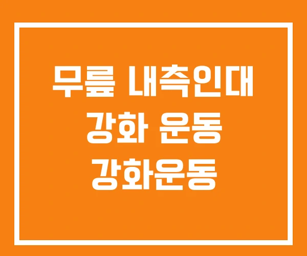 무릎 내측인대 강화 운동 강화운동