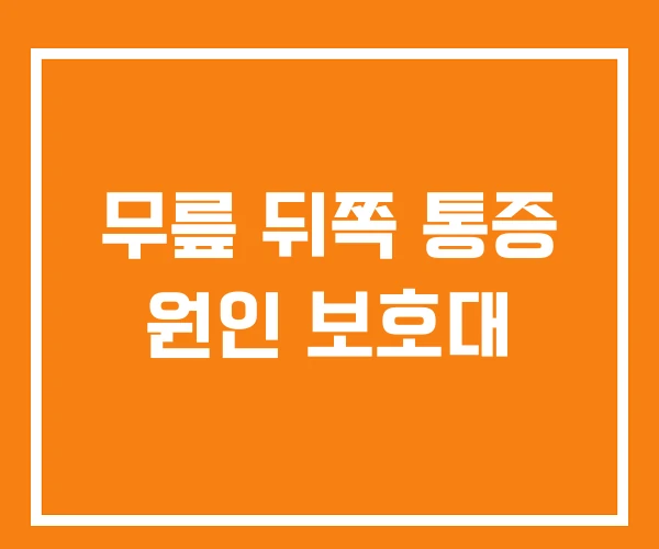 무릎 뒤쪽 통증 원인 보호대