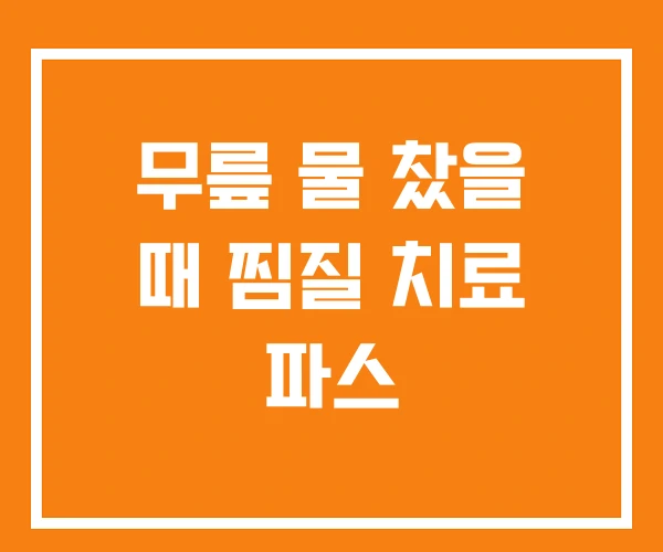 무릎 물 찼을 때 찜질 치료 파스