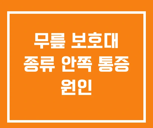 무릎 보호대 종류 안쪽 통증 원인 무릎 보호대 종류 안쪽 통증 원인