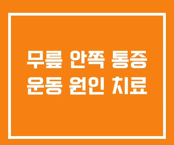 무릎 안쪽 통증 운동 원인 치료