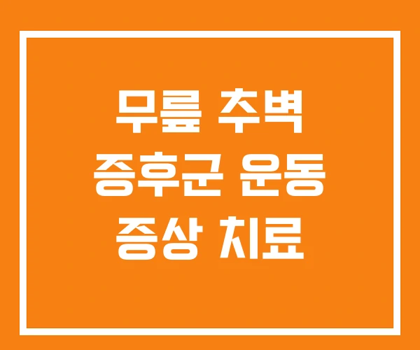 무릎 추벽 증후군 운동 증상 치료