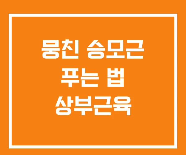 뭉친 승모근 푸는 법 상부근육
