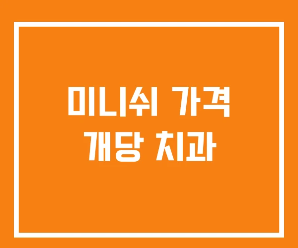 미니쉬 가격 개당 치과