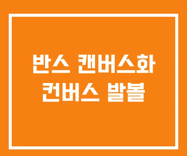 반스 캔버스화 컨버스 발볼