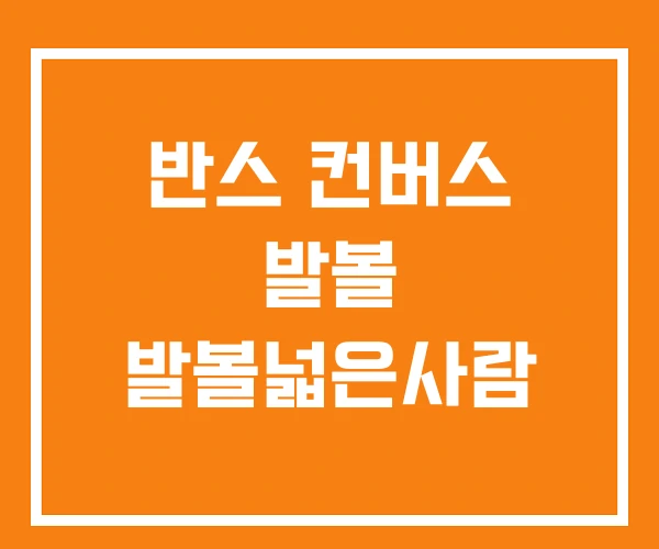 반스 컨버스 발볼 발볼넓은사람