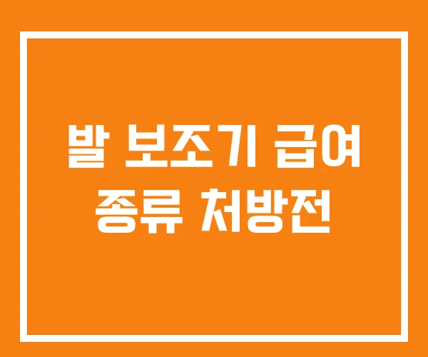 발 보조기 급여 종류 처방전