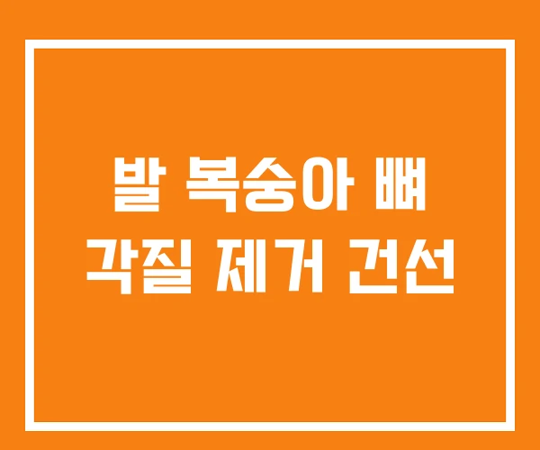 발 복숭아 뼈 각질 제거 건선 발 복숭아 뼈 각질 제거 건선