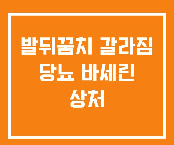 발뒤꿈치 갈라짐 당뇨 바세린 상처