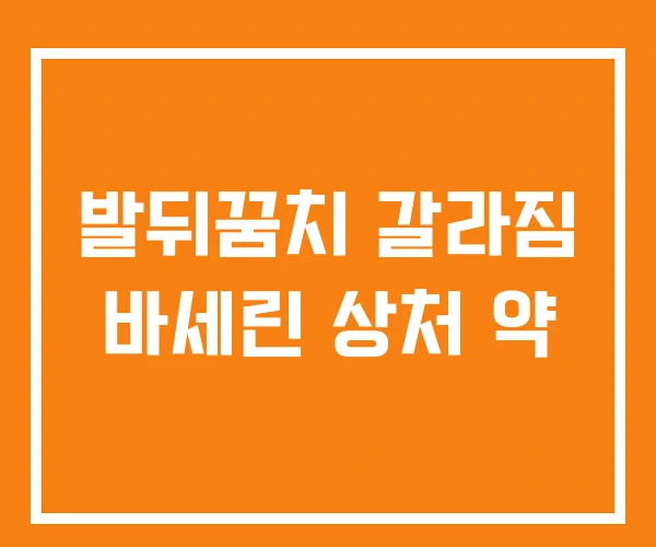 발뒤꿈치 갈라짐 바세린 상처 약