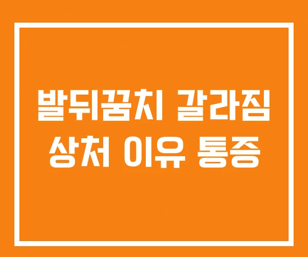발뒤꿈치 갈라짐 상처 이유 통증 발뒤꿈치 갈라짐 상처 이유 통증