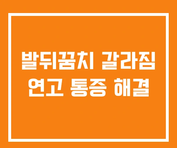 발뒤꿈치 갈라짐 연고 통증 해결