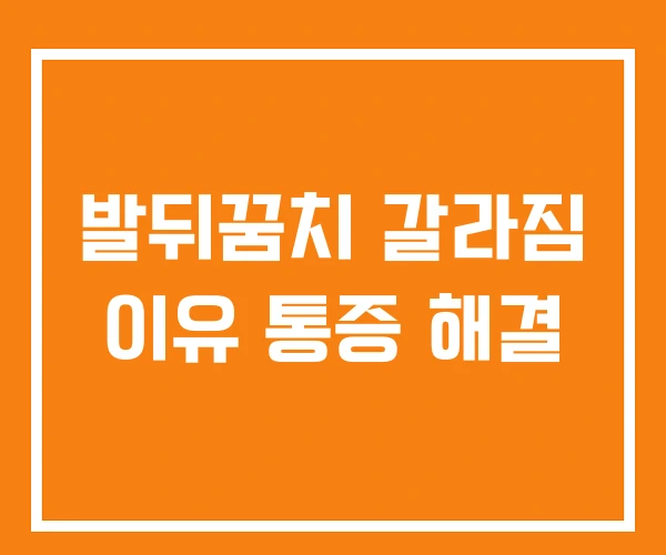 발뒤꿈치 갈라짐 이유 통증 해결