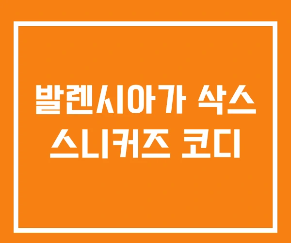 발렌시아가 삭스 스니커즈 코디 발렌시아가 삭스 스니커즈 코디