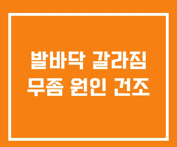 발바닥 갈라짐 무좀 원인 건조