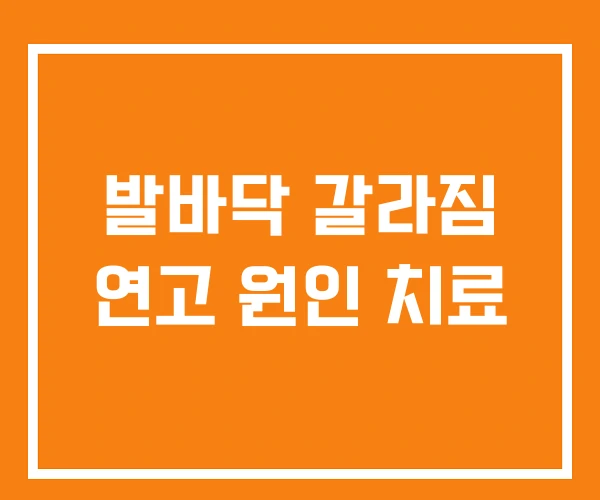 발바닥 갈라짐 연고 원인 치료