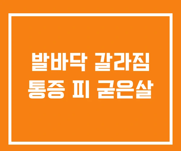 발바닥 갈라짐 통증 피 굳은살