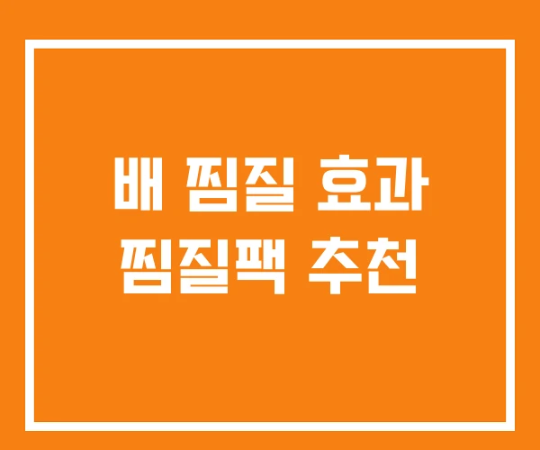배 찜질 효과 찜질팩 추천