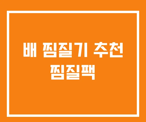 배 찜질기 추천 찜질팩
