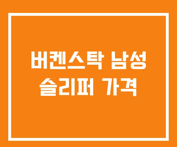 버켄스탁 남성 슬리퍼 가격