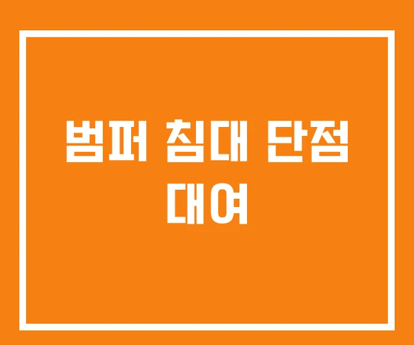 범퍼 침대 단점 대여 범퍼 침대 단점 대여