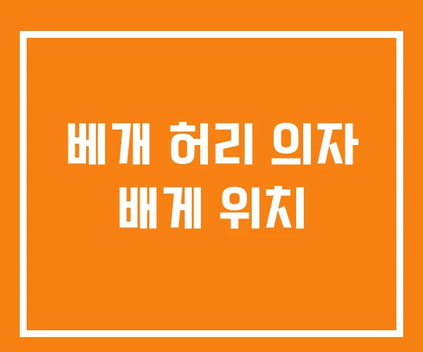 베개 허리 의자 배게 위치