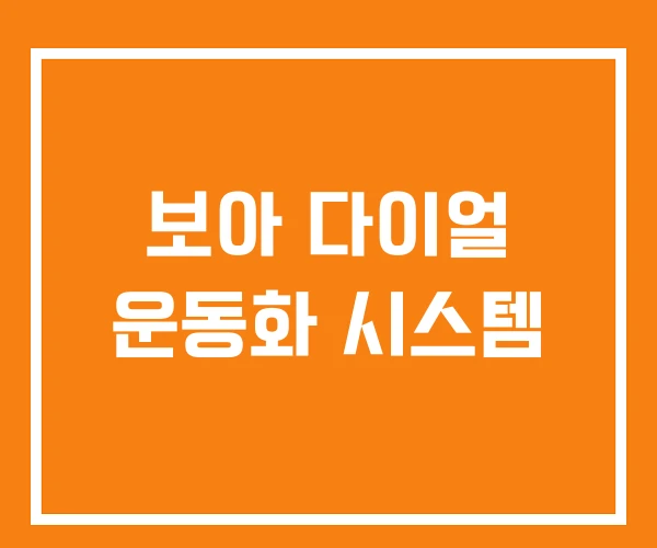 보아 다이얼 운동화 시스템