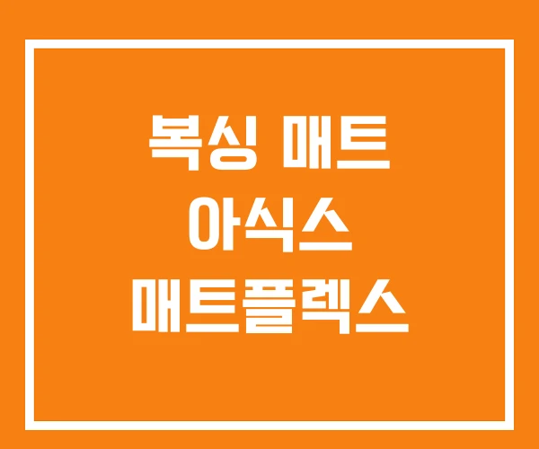 복싱 매트 아식스 매트플렉스