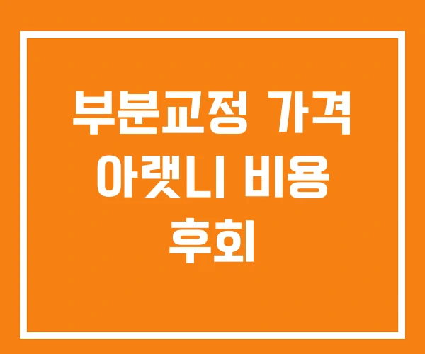 부분교정 가격 아랫니 비용 후회 부분교정 가격 아랫니 비용 후회