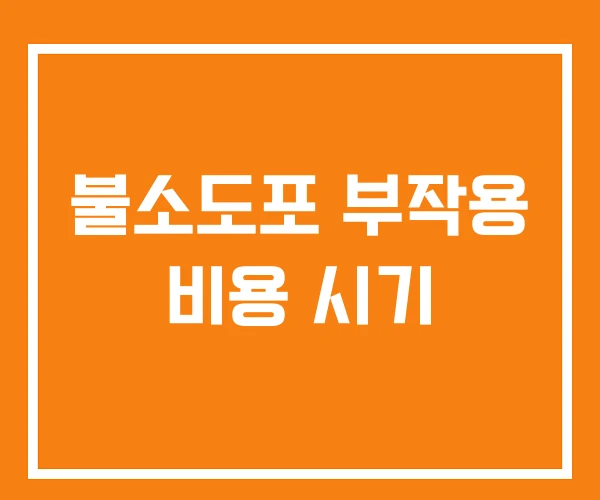 불소도포 부작용 비용 시기