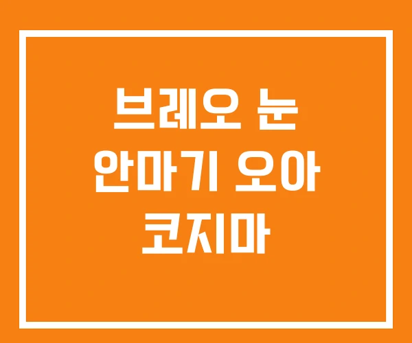 브레오 눈 안마기 오아 코지마