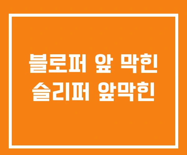 블로퍼 앞 막힌 슬리퍼 앞막힌