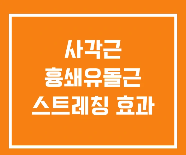 사각근 흉쇄유돌근 스트레칭 효과