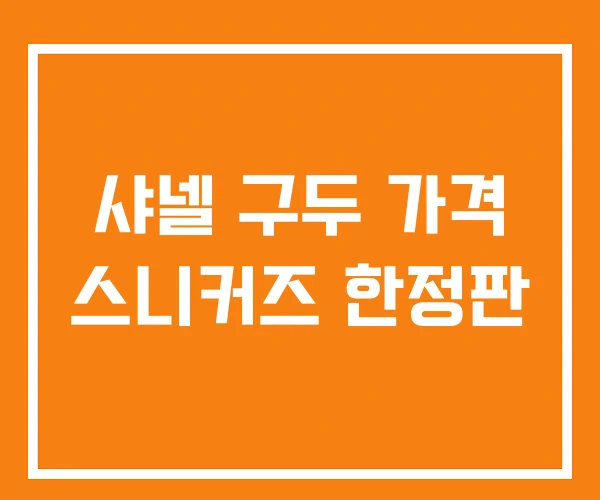 샤넬 구두 가격 스니커즈 한정판
