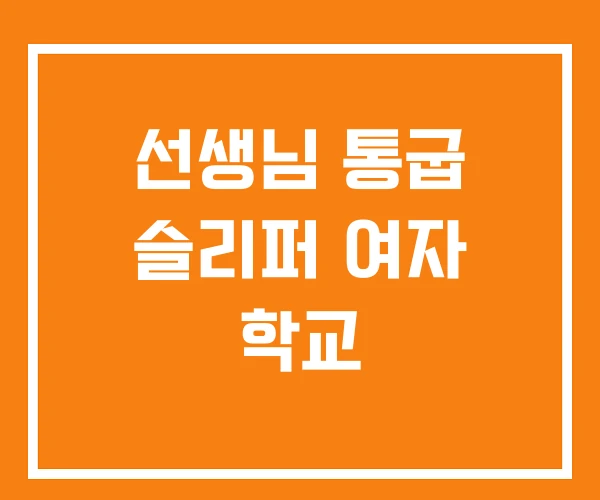 선생님 통굽 슬리퍼 여자 학교