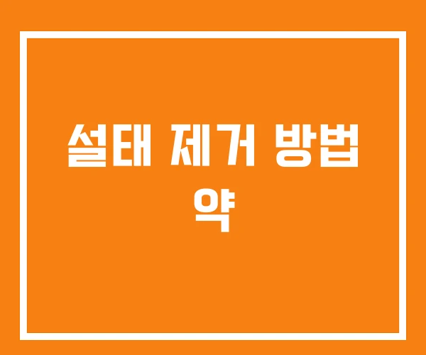 설태 제거 방법 약