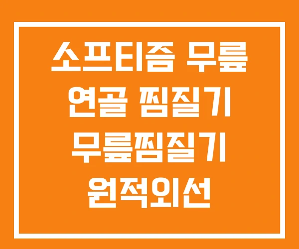 소프티즘 무릎 연골 찜질기 무릎찜질기 원적외선